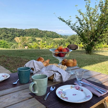 Domaine Labouroume Hotel Salies-de-Béarn Екстериор снимка
