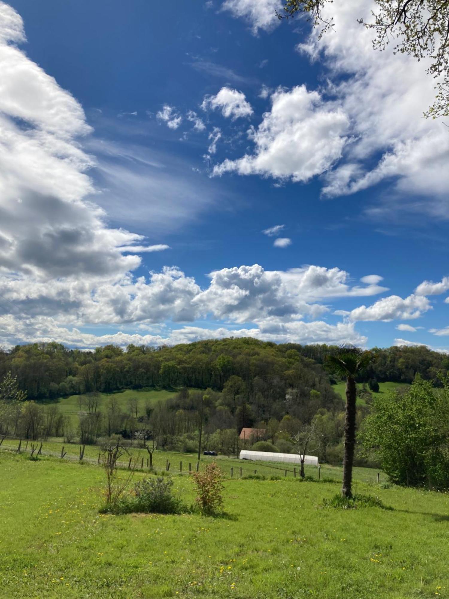 Domaine Labouroume Hotel Salies-de-Béarn Екстериор снимка