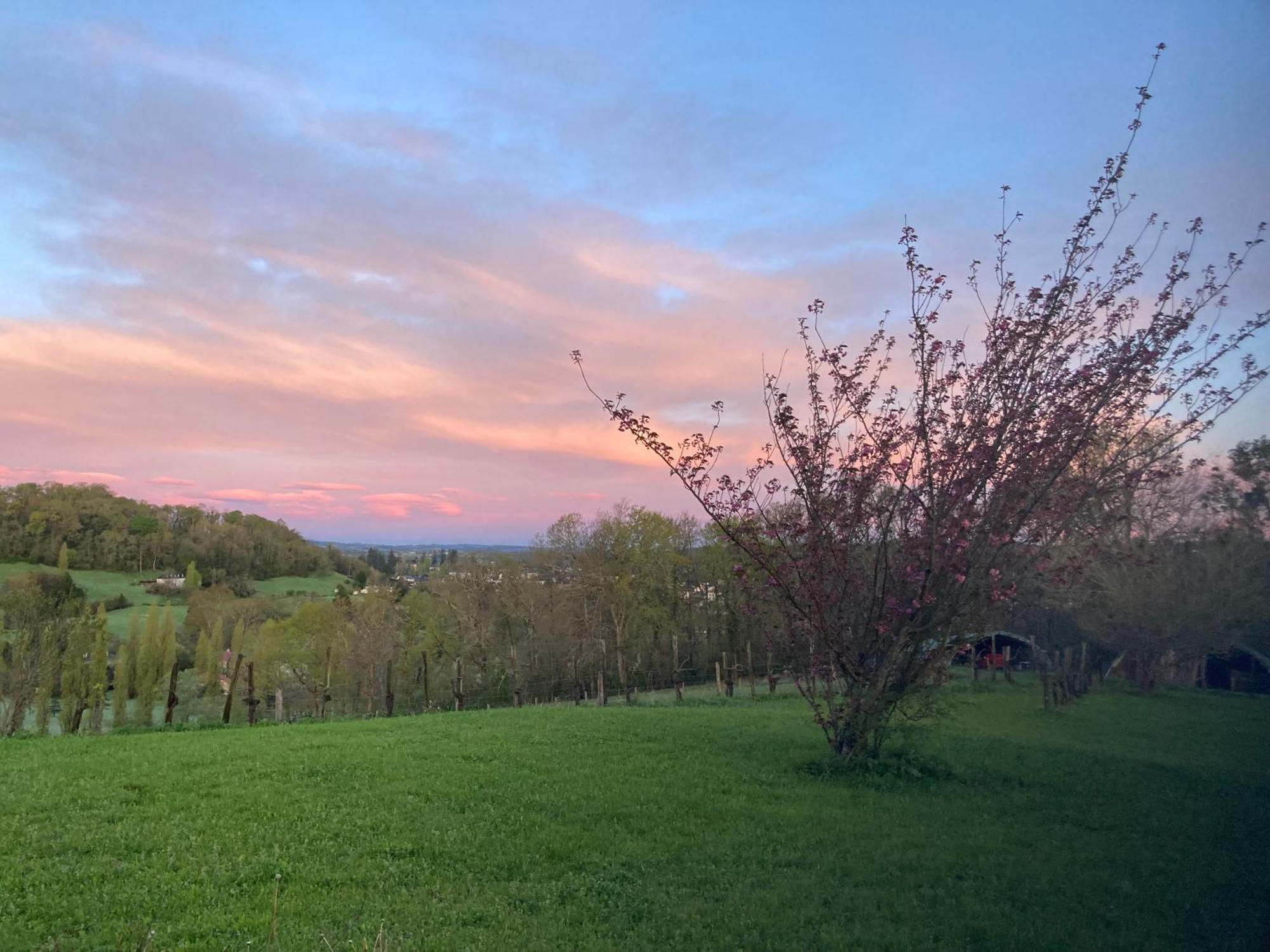 Domaine Labouroume Hotel Salies-de-Béarn Екстериор снимка