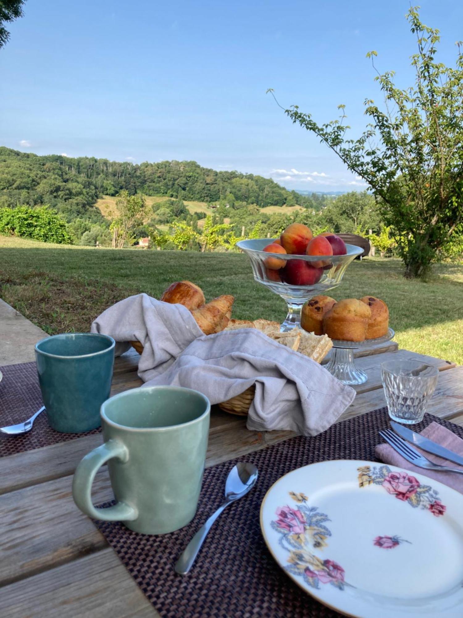 Domaine Labouroume Hotel Salies-de-Béarn Екстериор снимка